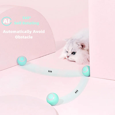 50% Rabatt | KatzenTanz™ - Aktivieren Sie die natürlichen Instinkte Ihrer Katze! [Letzter Tag Rabatt]