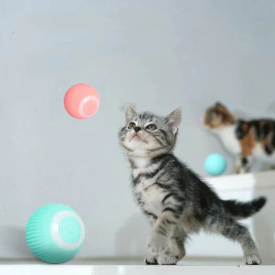 50% Rabatt | KatzenTanz™ - Aktivieren Sie die natürlichen Instinkte Ihrer Katze! [Letzter Tag Rabatt]