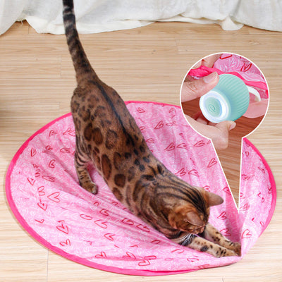 50% Rabatt | KatzenTanz™ - Aktivieren Sie die natürlichen Instinkte Ihrer Katze! [Letzter Tag Rabatt]