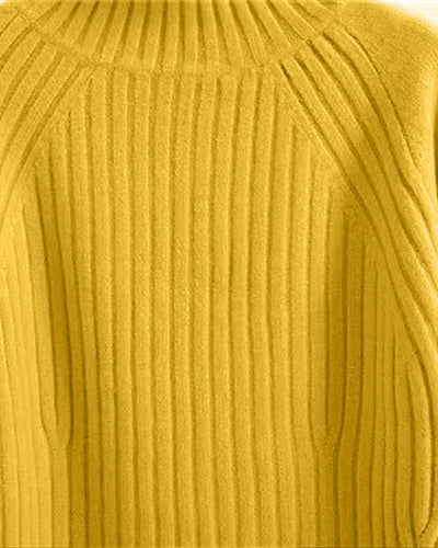 Karlee | Pullover mit Rollkragen
